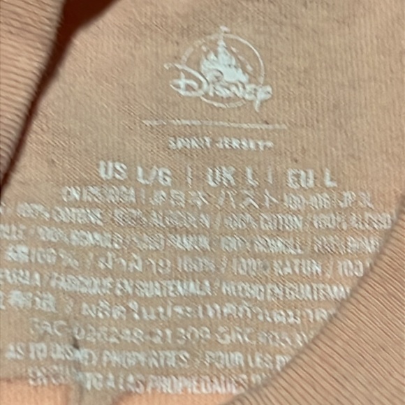 Walt Disney World Ombre Spirit Jersey Coral 2022 - Picture 7 of 13